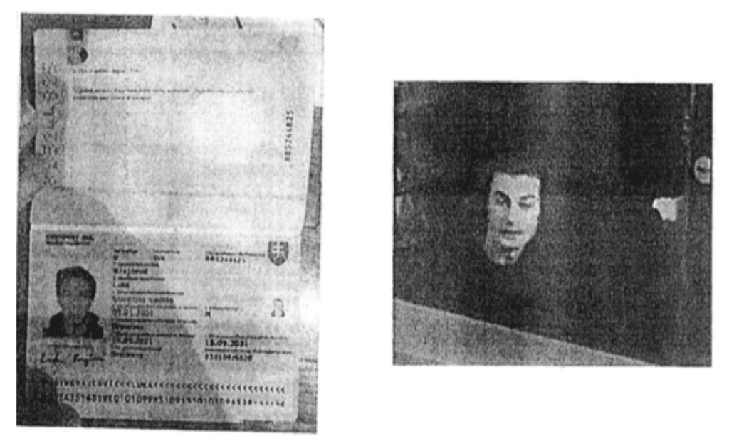 Fugitive Canadian Hacker, Released by Serbia, Seeks Pardon from Trump