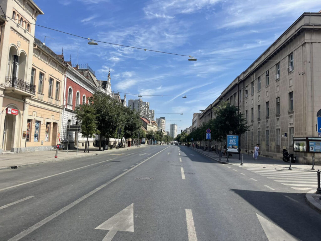 Umesto zemlje – nova podloga oko stabala u Zemunu: Kako funkcioniše sistem koji se ugrađuje oko drveća