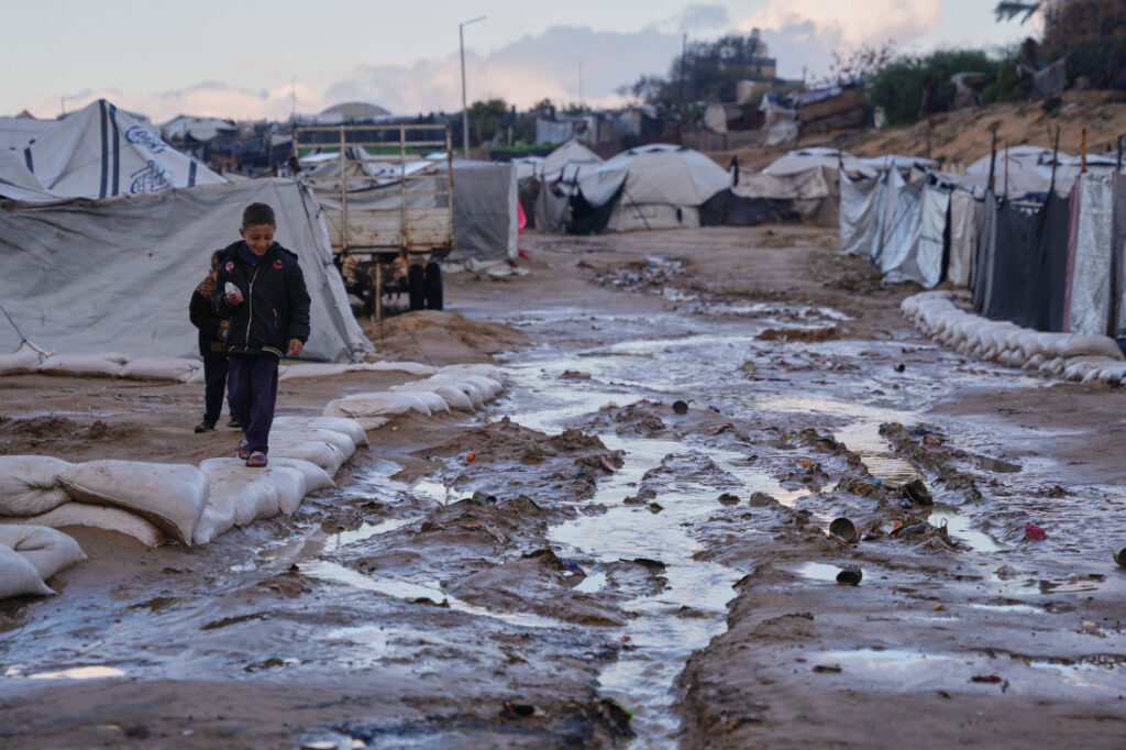 Najezda pacova i bolesti u Gazi, humanitarci traže hitnu pomoć